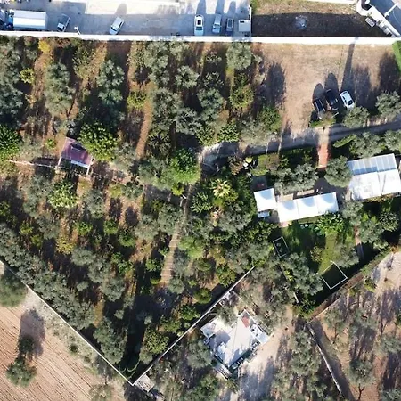 Holiday home Gli Ulivi *