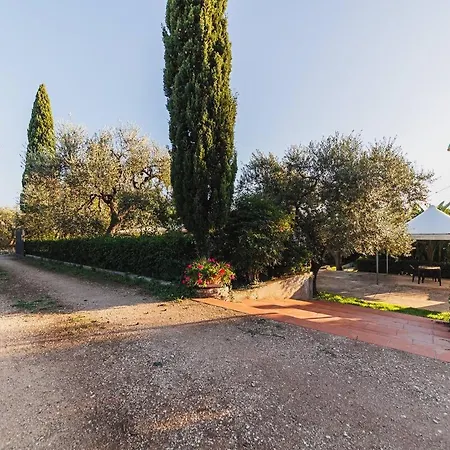 Gli Ulivi